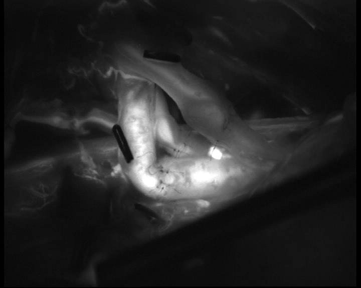 Визуализация_1 фото.jpg