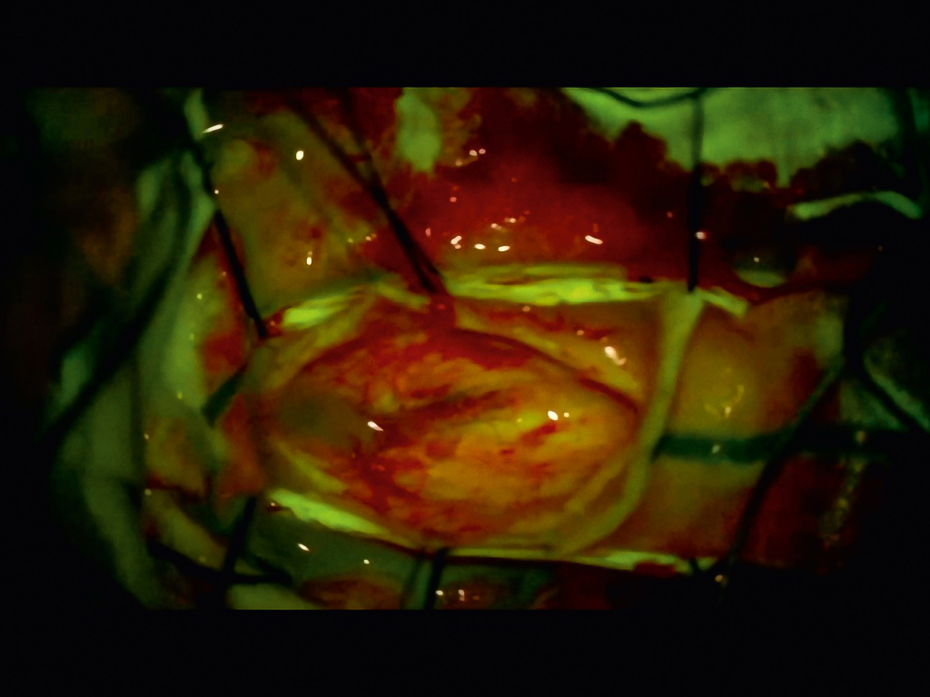 Визуализация_2 фото.jpg